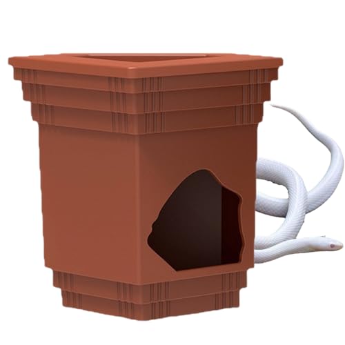 Aceirropy Bartdrachen-Futterstation – Schildkrötenfutter, Wasserschalen, Aquarium-Ornament, dekorative Sonnenfläche, Landschaft, Aquarium-Dekoration für den Innenbereich, Chamäleons, Schildkröten von Aceirropy