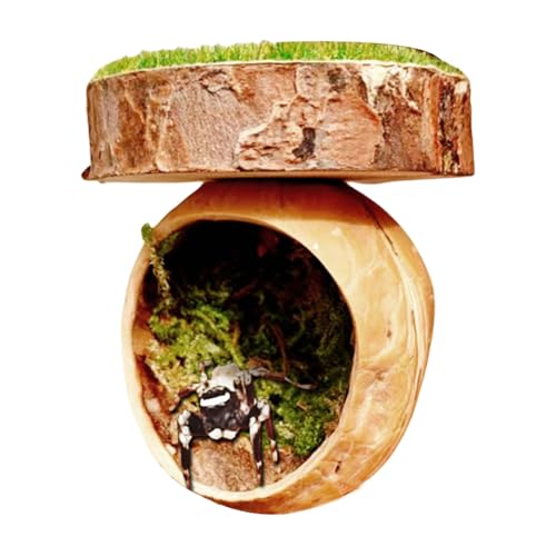 Aceirropy Dekoration Für Springspinnen,Springspinnen Terrarium Zubehör | Handgefertigter Magnetischer Unterschlupf Für Reptilien Vogelspinnen Gottesanbeterin Terrarium Aceirropy Dekoration Für Springspinnen,Springspinnen Terrarium Zubehör | Handgefertigter Magnetischer Unterschlupf Für Reptilien Vogelspinnen Gottesanbeterin Terrarium von Aceirropy