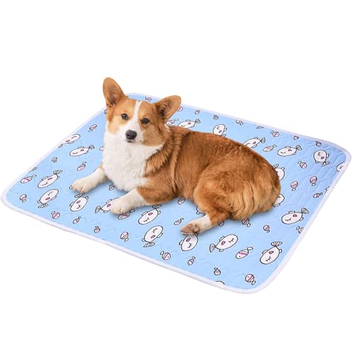 Aceirropy Kühlkissen Für Hunde - Wasserdichtes Kühlmatte Für Katzen - Atmungsaktive Haustier Schlafmatte Für Outdoor Picknick Park Aceirropy Kühlkissen Für Hunde - Wasserdichtes Kühlmatte Für Katzen - Atmungsaktive Haustier Schlafmatte Für Outdoor Picknick Park von Aceirropy