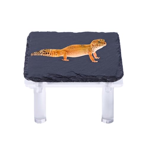 Aceirropy Schildkröten Sonnenstein - Versteckplatz Für Bartagamen Mit Acrylhalterung - Terrarium Zubehör Für Kletter- Und Sonnenbereich In Feuchtigkeitszonen Aceirropy Schildkröten Sonnenstein - Versteckplatz Für Bartagamen Mit Acrylhalterung - Terrarium Zubehör Für Kletter- Und Sonnenbereich In Feuchtigkeitszonen von Aceirropy