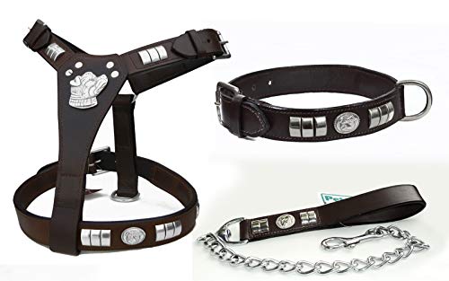 Aces Equine Hundegeschirr, Halsband und Leine für Staffordshire, Bullterrier, silberfarben (Chrom) von Aces Equine