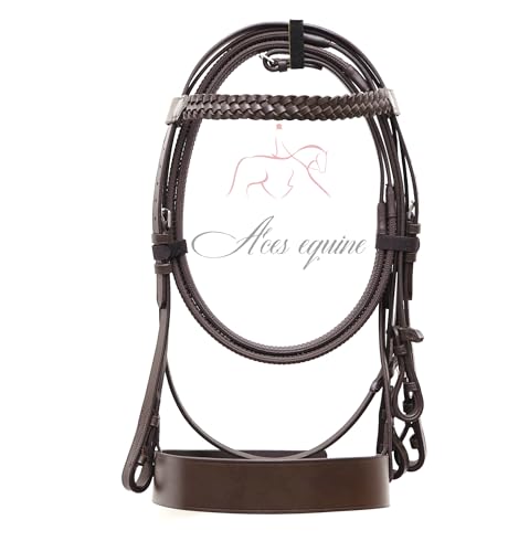 Aces Equine Hunter Trensenzaum mit 5,1 cm Nasenriemen und 2,5 cm beschichtetem Stirnband, Premium-Qualität, Braun (Mini Sheland) von Aces Equine