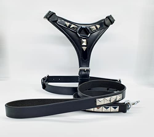Hundegeschirr aus echtem Leder, verchromt, für große Hunde, Brustumfang 73,7 - 89 cm, Schwarz von Aces Equine