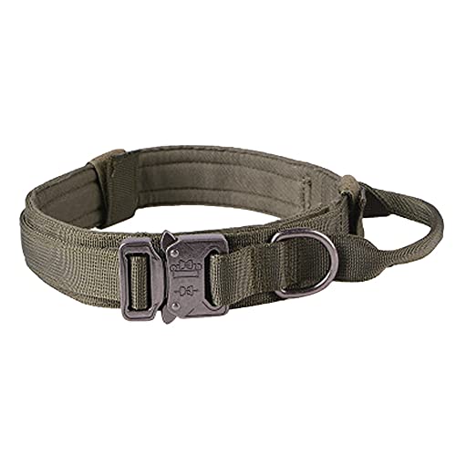 Acfthepiey Hundehalsband, verstellbar, Nylon, robuste Metallschnalle mit Griff, für Hundetraining (Schwarz, M) von Acfthepiey