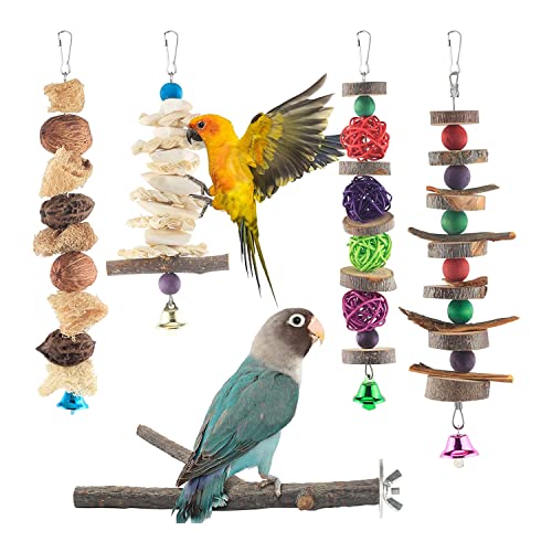 Acfthepiey Vogel-Kauspielzeug, 5 Packungen Sittiche, Naturholzspielzeug, Papageienspielzeug, Vogelsitzstange für kleine Vögel, Nymphensittiche von Acfthepiey