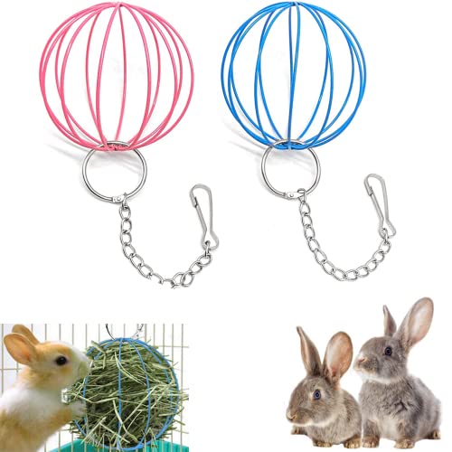 Achengqi 2 Stück Edelstahl Feeder Ball Kleintiere Spielzeug Ball Heuball Futterbälle Nager Futterball Edelstahl Feeder Spielzeug mit Hängenden Haken für Meerschweinchen Hamster Kaninchen Nager Fuer von yufana