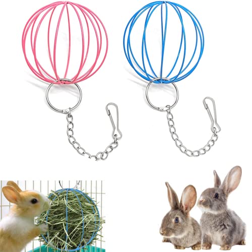 Achengqi 2 Stück Edelstahl Feeder Ball Kleintiere Spielzeug Heuball Futterbälle Nager Futterball mit Hängenden Haken für Meerschweinchen Hamster Kaninchen Fuer, rosa, 10x8.5cm, (CQ00027) von Achengqi