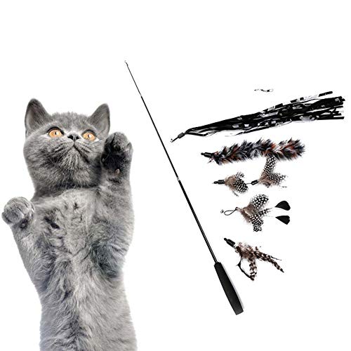 AchidistviQ 6Pcs / Set Cat Feather Toys Ersatzfeder Einziehbarer 3-teiliger Zauberstab Stick Cat Teaser Catcher Schwarz von AchidistviQ