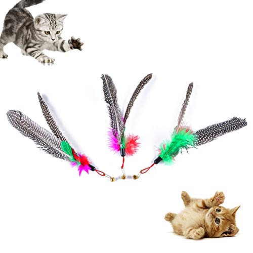 AchidistviQ Haustier-Spielzeug mit Feder und Klingel für Katzen, interaktives Spielzeug – zufällige Farbe von AchidistviQ