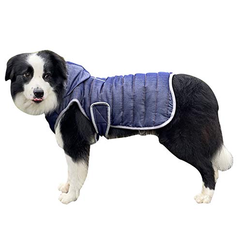 AchidistviQ Hundemantel für Haustiere, warm, für den Außenbereich, wasserdicht, für kleine und mittelgroße Hunde, Größe M, Blau von AchidistviQ