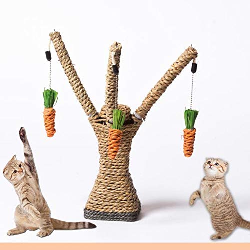 AchidistviQ Pet Products Katzenkratzbrett Cat Scratcher Baumform Hängende Karotten Kratzfeste Post Toy Pet Supplies von AchidistviQ