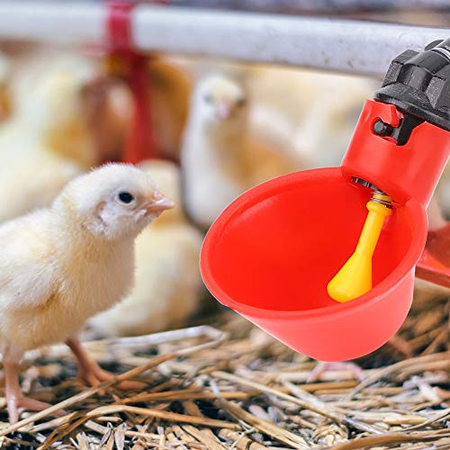 10pcs Plastik Automatischer Geflügelvogel -Trinkspender Chic Trinker Tool Geflügelspender Vogeltrinkent Cup Chicate Eimer A 3 Made Gemacht (Kleine rote Schüssel mit Faden) von Acouto