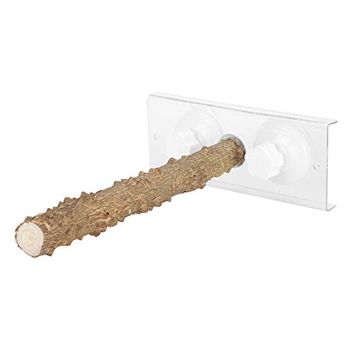 Acouto 25 cm Papageien Saugnäpfe Barsch Tragbare Holzstangenvogel -Dusche mit Anti -Skid Oberfläche, Geeignet Zum Baden und Sonnenbaden, Acryl und Sichuan Pfefferholzmaterial Geeignet von Acouto