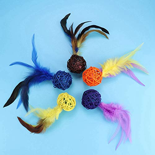 Acouto 5 Stück/Set Buntes Haustier-Katzen-Kätzchen-P-Spielspielzeug aus Rattan mit Federglocke und Stabiler Dose für Ihr Haustier Zum Spielen Acouto 5 Stück/Set Buntes Haustier-Katzen-Kätzchen-P-Spielspielzeug aus Rattan mit Federglocke und Stabiler Dose für Ihr Haustier Zum Spielen von Acouto