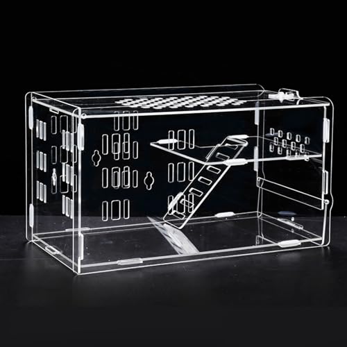 Acouto Acrylhamster Käfig Transparentes Hamstergehäuse mit Stillem Trainingsrad Wasserflasche Lebensmittelschale für Zwerg Rennmäuse Hedgehog Acouto Acrylhamster Käfig Transparentes Hamstergehäuse mit Stillem Trainingsrad Wasserflasche Lebensmittelschale für Zwerg Rennmäuse Hedgehog von Acouto