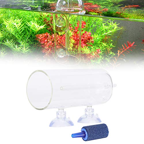 Acouto Aquarium Oxygen Dissolver Glass Hochaufgelöste Aquarium Oxygen Belüftung Mit Saugnapf Aquarium Ausrüstung Zubehör Werkzeug Q. (Sauerstofflösegeröt (inkl. Ausströmerstein)) von Acouto