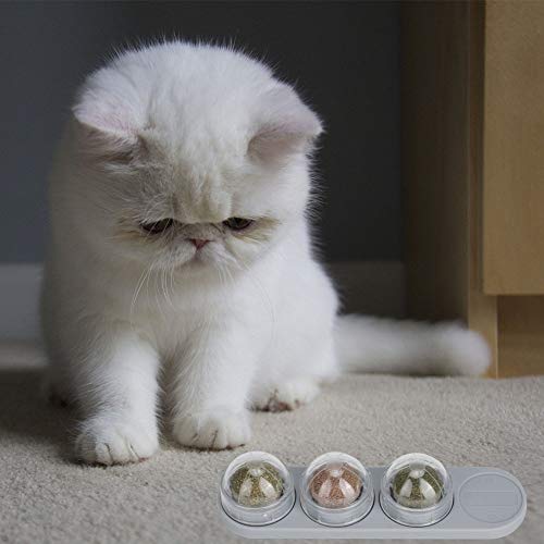 Acouto Cat Snack Lick Catnip Nutrition Gesunde Runde Kugelzähne Reinigung Haustier Spielzeug Liefert Natürliche Mint Materia Catnipcat Toycatnip Toycat Snack Acouto Cat Snack Lick Catnip Nutrition Gesunde Runde Kugelzähne Reinigung Haustier Spielzeug Liefert Natürliche Mint Materia Catnipcat Toycatnip Toycat Snack von Acouto