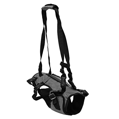 Acouto Cat -Weste Gurte Leinen Verstellbare Atmungsaktive Stilvolle Multifunktionale Haustier -Wanderleine für Arthritische Hunde, Nylon (L) von Acouto
