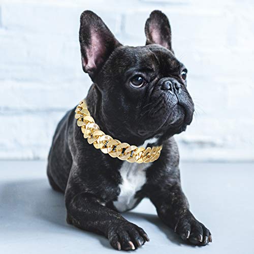 Acouto Goldkette Hundehalsbönder, Haustier Hundehalsband Halskette Schmuck Zubehör Mode Metall Haustier Hundehalsband Halskette für Teddy Bulldogge von Acouto