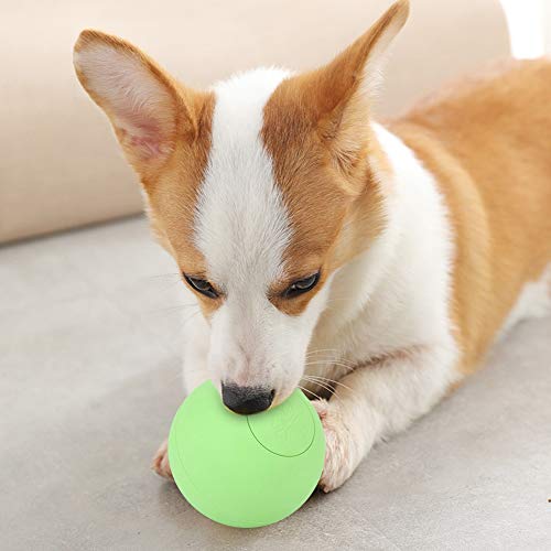 Acouto Gummi -Blatthund -Elastik B Spielzeug für Molarezähne Training Interactive Yellow Ng Interactiveyellow Gummi Hausthund B Toypet Hunde Toydog Toyrubberdog Toypet Hundespielzeug (Green) von Acouto