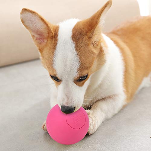 Acouto Gummi -Blatthund -Elastik B Spielzeug für Molarezähne Training Interactive Yellow Ng Interactiveyellow Gummi Hausthund B Toypet Hunde Toydog Toyrubberdog Toypet Hundespielzeug (Rot) von Acouto