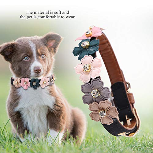 Acouto Hundehalsband, Pu Tierhalsband Metallschnalle, Atmungsaktive Hundehalsbönder Mit Blumen (1,3 * 34 cm) von Acouto