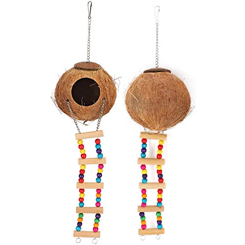 Acouto Kokosnussschalen -Papageien - -Schwung -Bett -Höhlenspielzeug mit Treppe für Vogel, Hamster, Kaninchen, Eichhörnchen Acouto Kokosnussschalen -Papageien - -Schwung -Bett -Höhlenspielzeug mit Treppe für Vogel, Hamster, Kaninchen, Eichhörnchen von Acouto