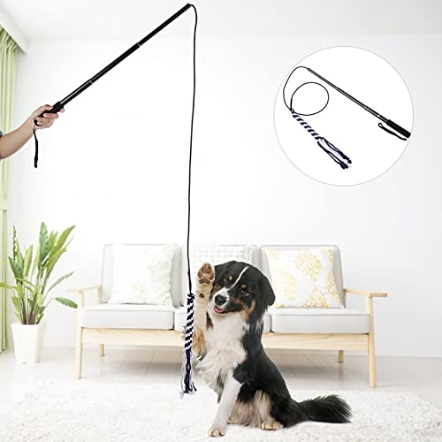 Acouto Retractable Dog Stick, Retractable Stick Cat Teaser Training Spielstab Haustier Holen Sie Sich Mehr übungsspielzeug für Kleine Mittelgroöe Hunde (L) von Acouto