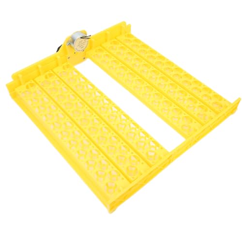 Acouto Vollautomatische Inkubatorschale für Hühnchen Ideal für Überlebende, Bildungsaktivitäten, Laborumgebungen, Geringere Rauschen, Geringere Energieverbrauch, ABS -Material (12V) von Acouto