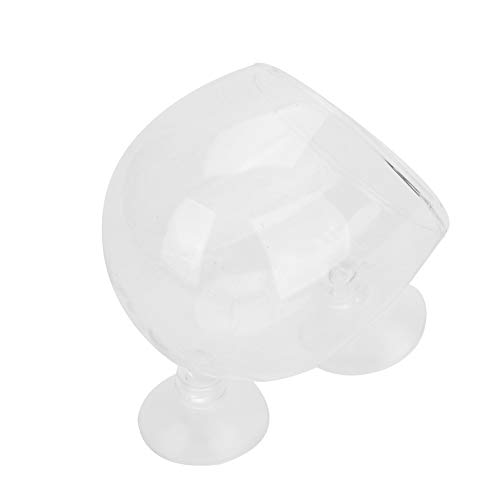 Acouto Wasserpflanzent Aquarium Pflanzenbecher Glas Transparent Krllklar Wasser Pflanze Gras Pflanzgeföö Mit Saugnapf für Dekoration Acouto Wasserpflanzent Aquarium Pflanzenbecher Glas Transparent Krllklar Wasser Pflanze Gras Pflanzgeföö Mit Saugnapf für Dekoration von Acouto