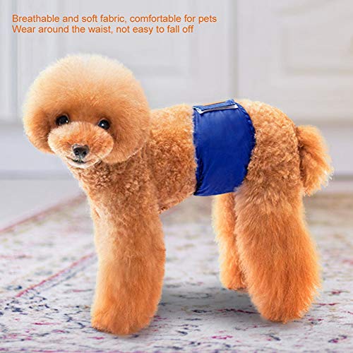 Acouto Welpensicherheit Atmungsaktive Hosen, die Belästigung für Männliche Hunde, Bequeme Unterwäsche für Hund für die Physiologische Zeit Verhindern (XL) von Acouto