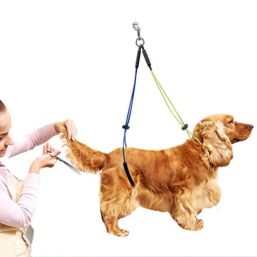 FunktionReparieren Sie Ihr Haustier und Gönnen Sie Ihm eine Schönheitsbehandlung, um zu Verhindern, DASS Ihr Haustier Herumläuft. Das Bequeme Halsband aus FunktionReparieren Sie Ihr Haustier und Gönnen Sie Ihm eine Schönheitsbehandlung, um zu Verhindern, DASS Ihr Haustier Herumläuft. Das Bequeme Halsband aus von Acouto