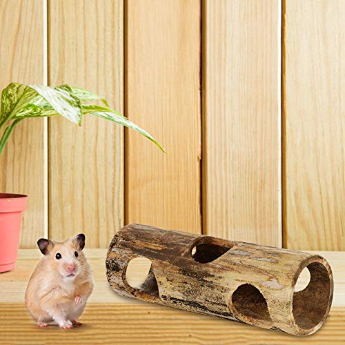 Hamstertunnelspielzeug, Kleintier-Bambusröhrentunnel-übungsspielzeug Zum Spielen des Zahnschleifens (M) von Acouto