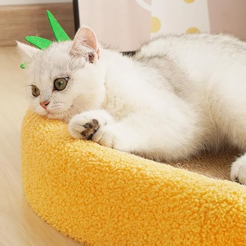 Haustierkatze Kratzer Schüssel Großer Durchmesser Integriertes Design Rugged Katze Kratzblock für Heimkatze Kratzer Schüsselkratzpolster Bedcat Kratzer Lounge Bedcat Scratch von Acouto
