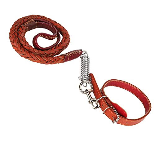 Hund Walking Le mit Kragen Haustier Antilost Le Collar Set für Große Mittelgroße Hunde Hundehalsbänder und Leine (Brown) von Acouto