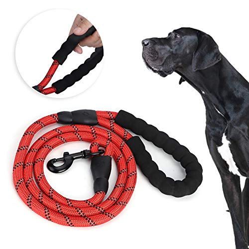 Hund Ziehende Leine Nylon Reflektierende Hundekette Sicherheitsseil für Welpen Mittelgroöe Hunde Laufen Laufen (Rot) von Acouto