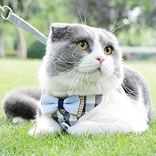 Katzengeschirr Und Leine Zum Gehen, Fluchcheres Katzengeschirr Mit Metallschnalle Atmungsaktive Katzenweste Haustier-Sicherheitsjacke (S) von Acouto