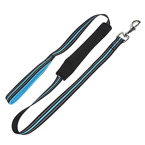 Nylon Hundeleine, Hochleistungs-reflektierende Leine mit Schnalle für Spaziergänge mit dem Hund, gepolsterte Hundeleine für kleine bis große Hunde (M) von Acouto