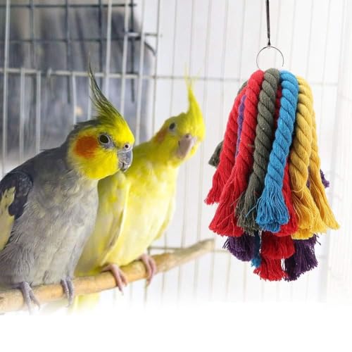 Präzise Papageienkauspielzeug Farbenfrohe Baumwollseil Vogelspielzeug für Käfig Anziehen Aufmerksamkeit Vogel Liebhaber Material Sicherheit Sicherheit von Acouto