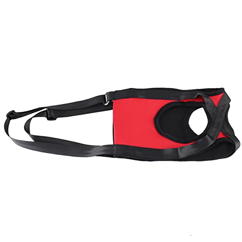 Hundegeschirr Geschirr,No Pull Welpengeschirr Anti Zug Ring Vorne Dog Harness Brustgeschirr Ausbruchsicher Sicherheitsgeschirr Sport Soft Training Atmungsaktiv Sicher Hundegeschirr Geschirr,No Pull Welpengeschirr Anti Zug Ring Vorne Dog Harness Brustgeschirr Ausbruchsicher Sicherheitsgeschirr Sport Soft Training Atmungsaktiv Sicher von Acouto