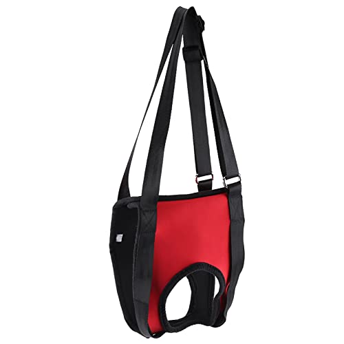 Hundegeschirr Geschirr,No Pull Welpengeschirr Anti Zug Ring Vorne Dog Harness Brustgeschirr Ausbruchsicher Sicherheitsgeschirr Sport Soft Training Atmungsaktiv Sicher Hundegeschirr Geschirr,No Pull Welpengeschirr Anti Zug Ring Vorne Dog Harness Brustgeschirr Ausbruchsicher Sicherheitsgeschirr Sport Soft Training Atmungsaktiv Sicher von Acouto