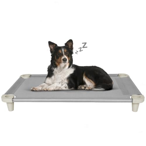 Acrimet Kühlendes erhöhtes Haustier-Hundebett, waschbares und atmungsaktives Netzgewebe, Edelstahlrahmen, für den Innen- und Außenbereich, Größe: 101,6 x 61 cm, Grau, 1 Stück Acrimet Kühlendes erhöhtes Haustier-Hundebett, waschbares und atmungsaktives Netzgewebe, Edelstahlrahmen, für den Innen- und Außenbereich, Größe: 101,6 x 61 cm, Grau, 1 Stück von Acrimet