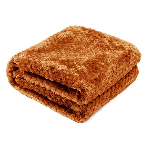 AcserGery Flauschige Hundedecke 100x120cm Super Softe Warme und Weiche Decke für Haustier Hundedecke Katzendecke (Braun) von AcserGery