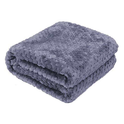 AcserGery Flauschige Hundedecke 100x120cm Super Softe Warme und Weiche Decke für Haustier Hundedecke Katzendecke (Lila) von AcserGery