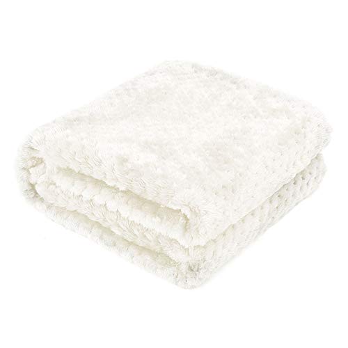 AcserGery Flauschige Hundedecke 100x120cm Super Softe Warme und Weiche Decke für Haustier Hundedecke Katzendecke (Weiß) von AcserGery