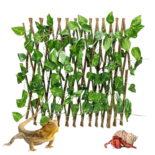 Acsist Reptilien-Einsiedlerkrabben-Kletterspielzeug, 40 cm, kleine immergrüne Blätter, erweiterbar, einziehbar, Kunststoff, Simulation, Spalier, Heckenzaun, Aquarium-Tankdekoration mit Saugnäpfen, Acsist Reptilien-Einsiedlerkrabben-Kletterspielzeug, 40 cm, kleine immergrüne Blätter, erweiterbar, einziehbar, Kunststoff, Simulation, Spalier, Heckenzaun, Aquarium-Tankdekoration mit Saugnäpfen, von Acsist