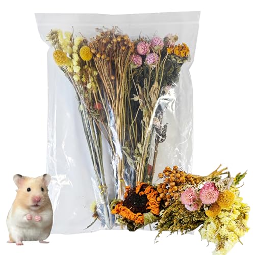 Natürlicher Hamsterblüten- & Kräuterlebensraum Deocr, Hamstersprays Blumen Einstreu Mate, Hamsterkäfig Anreicherung Dekoration Zubehör für Rennmäuse Zwerg Syrische Hamster Meerschweinchen Mäuse oder Natürlicher Hamsterblüten- & Kräuterlebensraum Deocr, Hamstersprays Blumen Einstreu Mate, Hamsterkäfig Anreicherung Dekoration Zubehör für Rennmäuse Zwerg Syrische Hamster Meerschweinchen Mäuse oder von Acsist