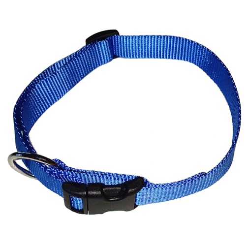 Activity4Dogs Hundehalsband Nylon, stufenlos verstellbar 38cm bis 55cm, blau von Activity4Dogs
