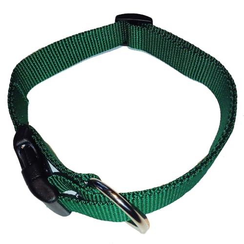 Activity4Dogs Hundehalsband Nylon, stufenlos verstellbar 38cm bis 55cm, grün von Activity4Dogs