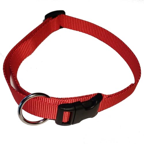Activity4Dogs Hundehalsband Nylon, stufenlos verstellbar 38cm bis 55cm, rot von Activity4Dogs